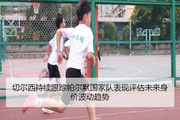 切尔西持续跟踪帕尔默国家队表现评估未来身价波动趋势